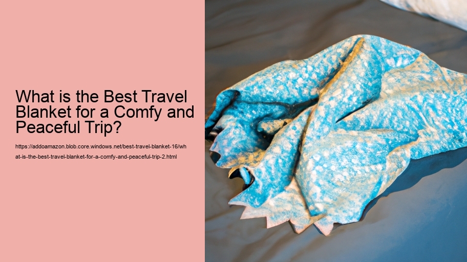 What is the Best Travel Blanket for a Comfy and Peaceful Trip?
