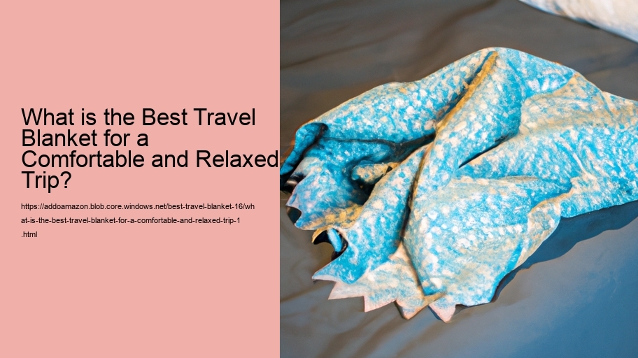 What is the Best Travel Blanket for a Comfortable and Relaxed Trip?