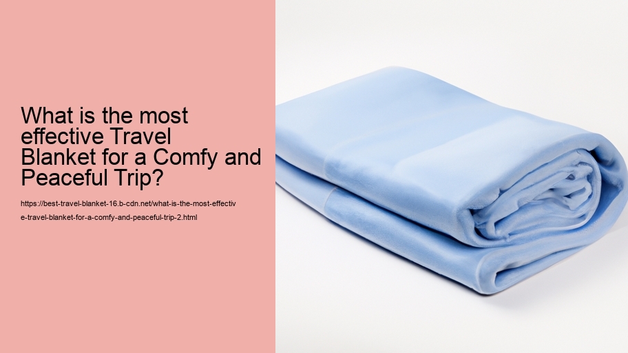 What is the most effective Travel Blanket for a Comfy and Peaceful Trip?