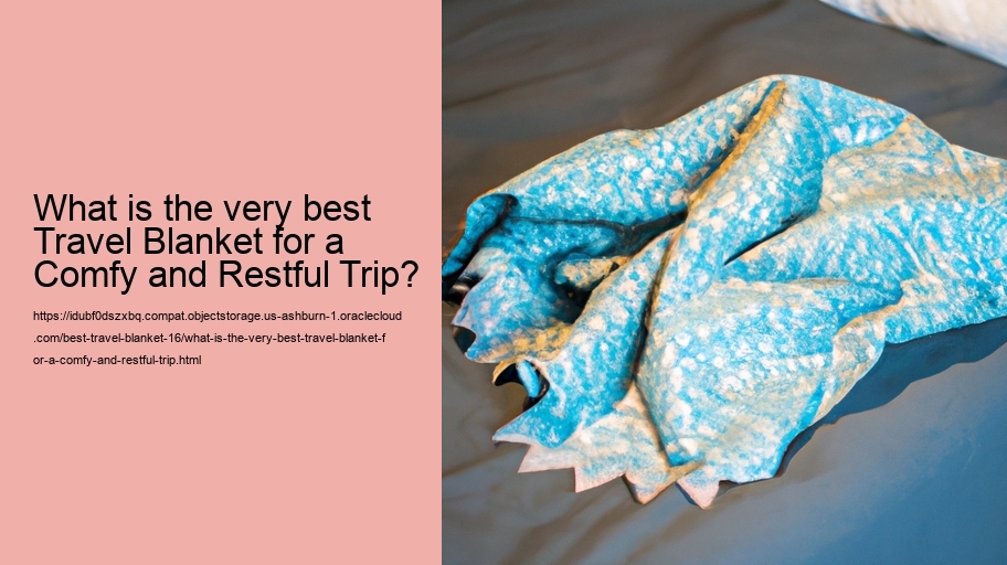 What is the very best Travel Blanket for a Comfy and Restful Trip?