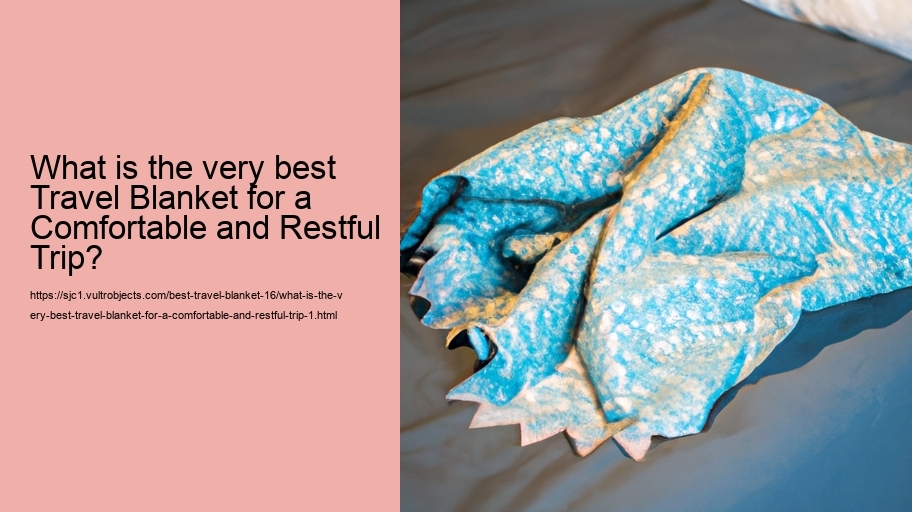 What is the very best Travel Blanket for a Comfortable and Restful Trip?